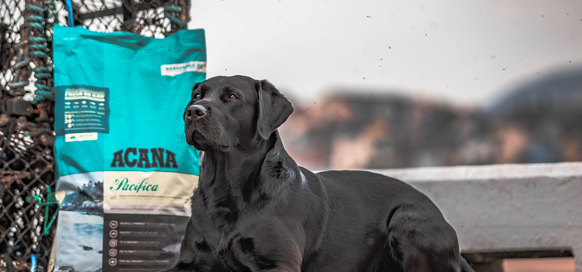 Home Acana Pet Foods (Ireland)